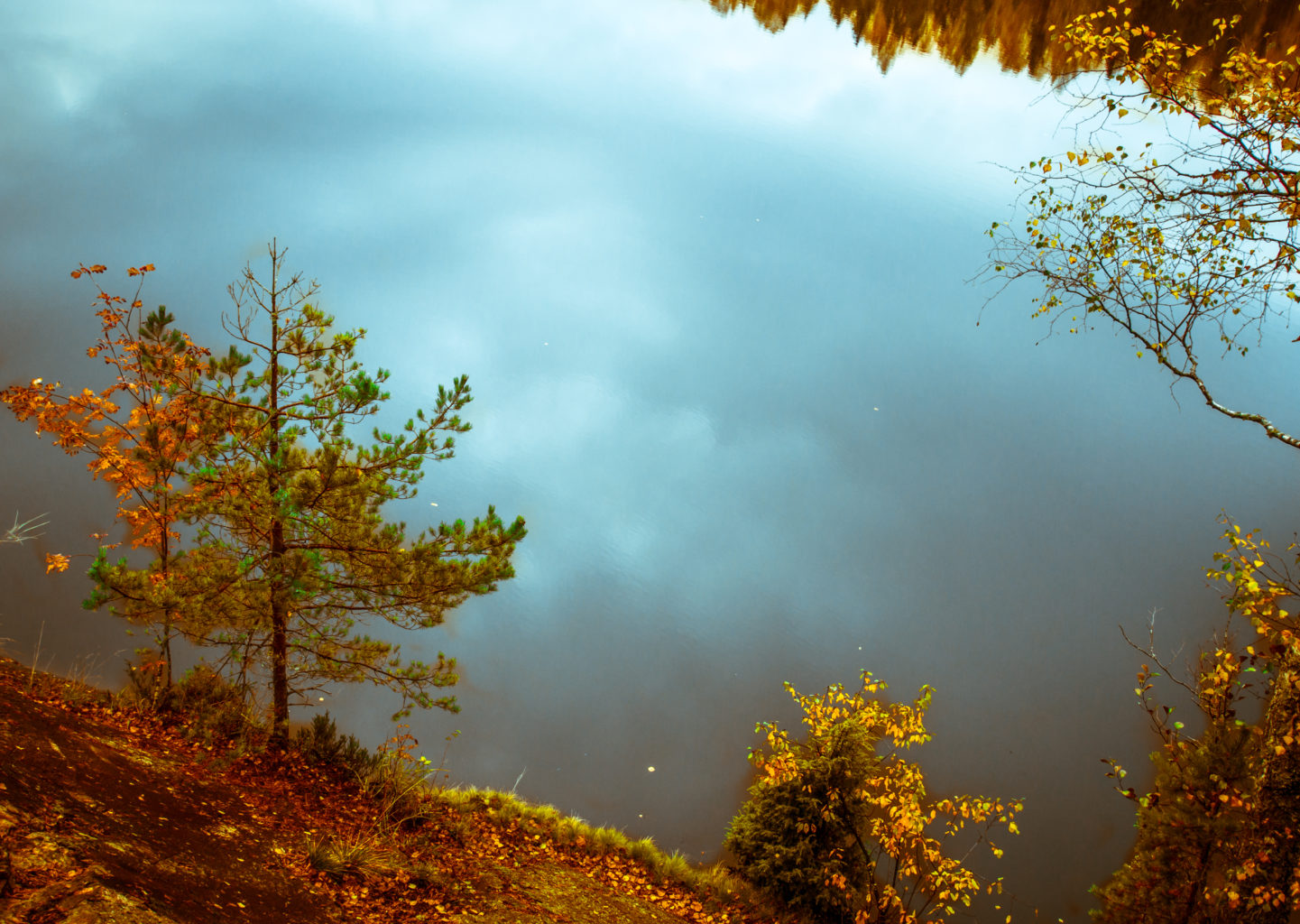 Valokuvaaja: Satu Mali