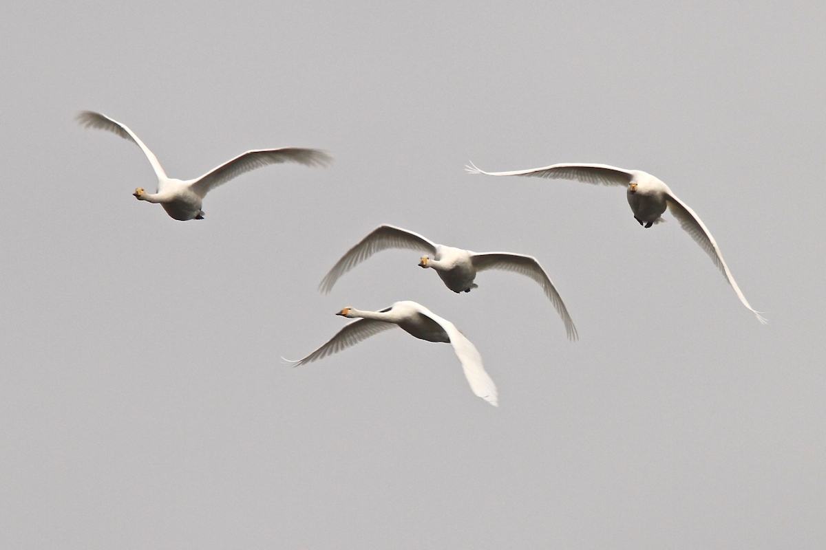 Valokuvaaja: Markus Mikael Malmberg Valokuvaaja: Markus Mikael Malmberg