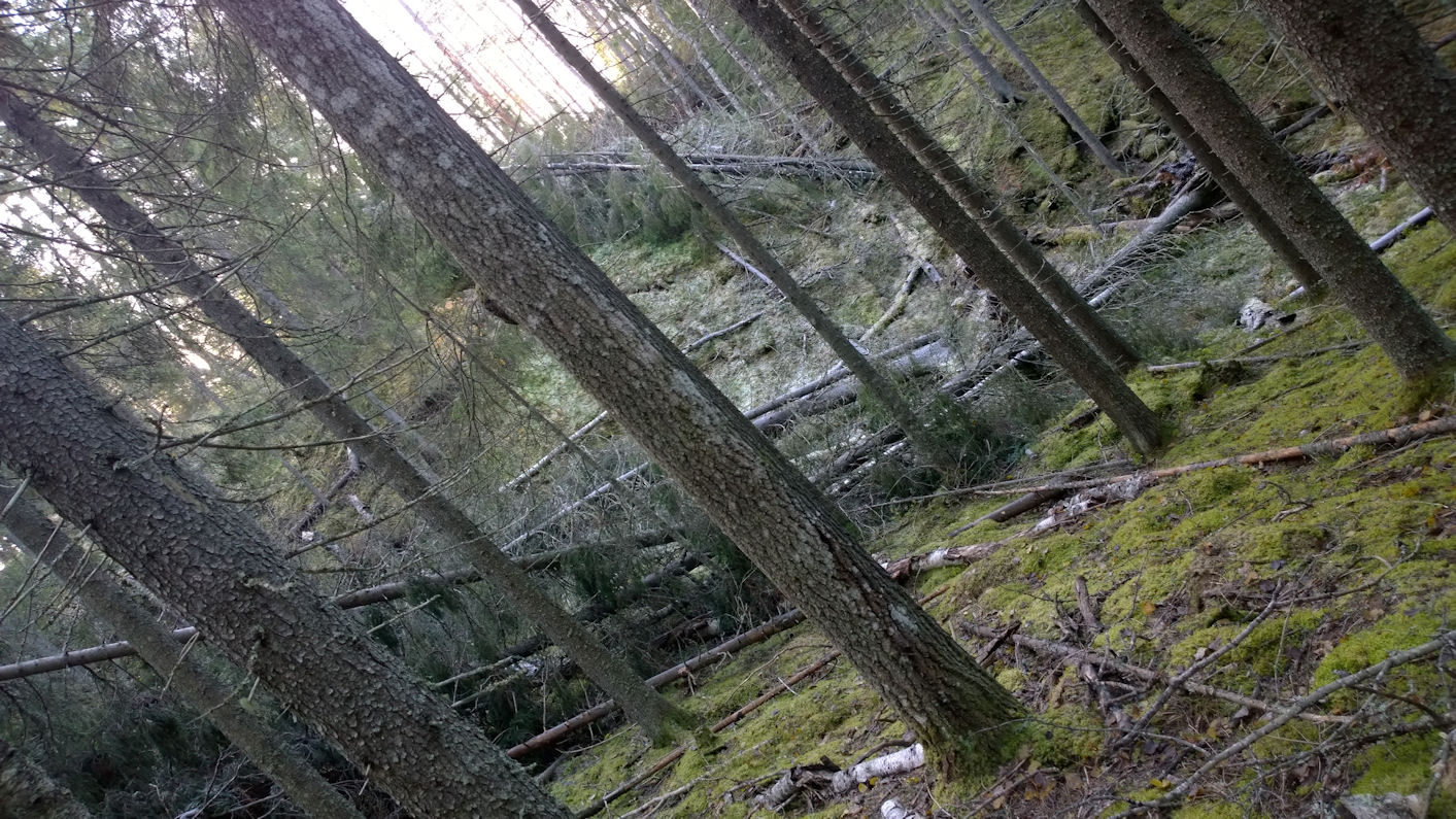 Valokuvaaja: Ahti Keränen Valokuvaaja: Ahti Keränen