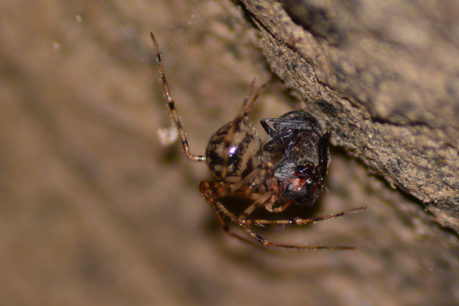 Valokuvaaja: Tuomo Kesäläinen