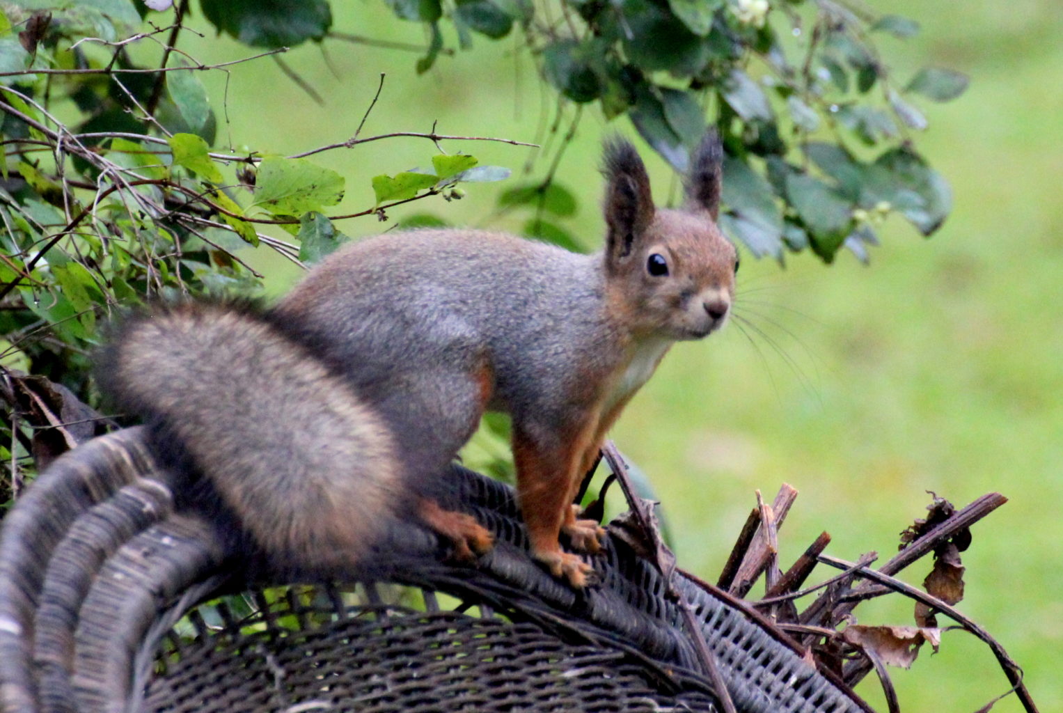 Valokuvaaja: Irja Lehtinen
