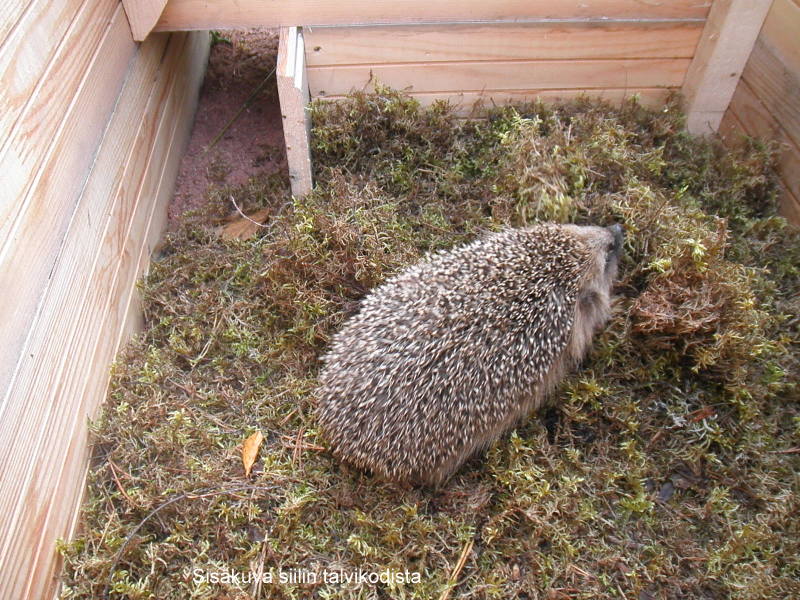 Valokuvaaja: SEIJA LAITALA Valokuvaaja: SEIJA LAITALA