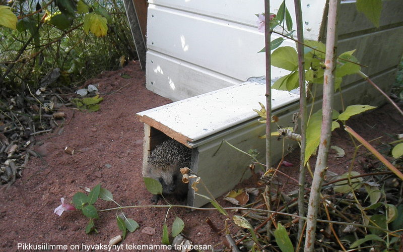 Valokuvaaja: SEIJA LAITALA