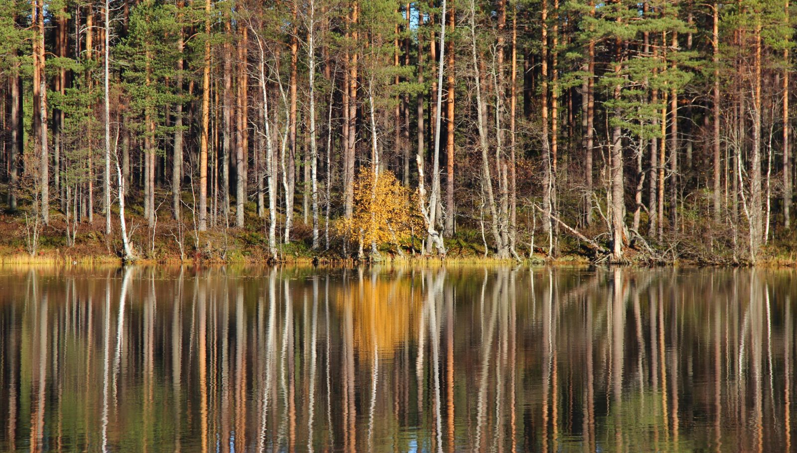 Valokuvaaja: SINIKKA KUJALA