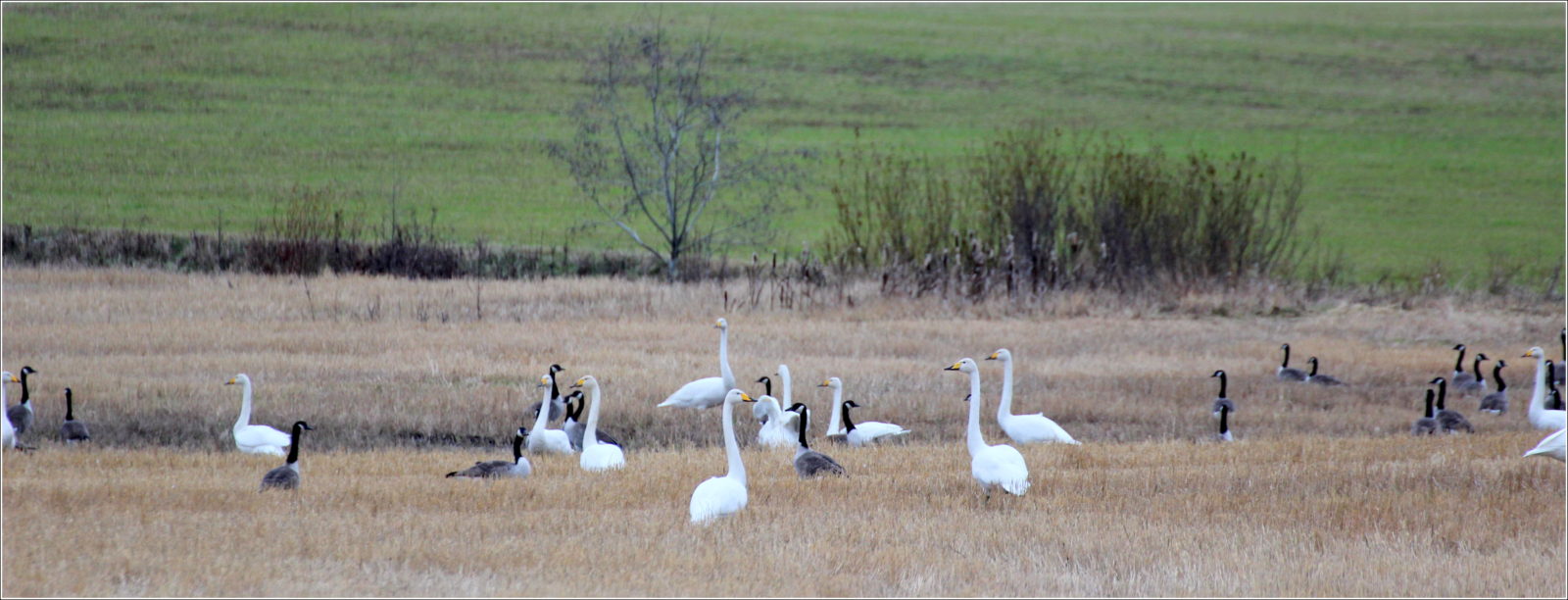 Valokuvaaja: Irja Lehtinen