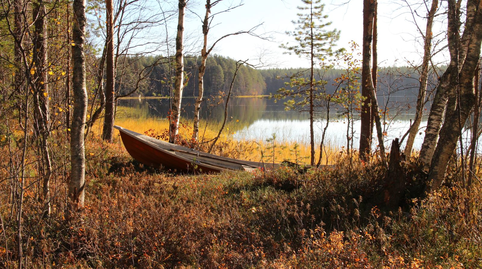 Valokuvaaja: SINIKKA KUJALA Valokuvaaja: SINIKKA KUJALA