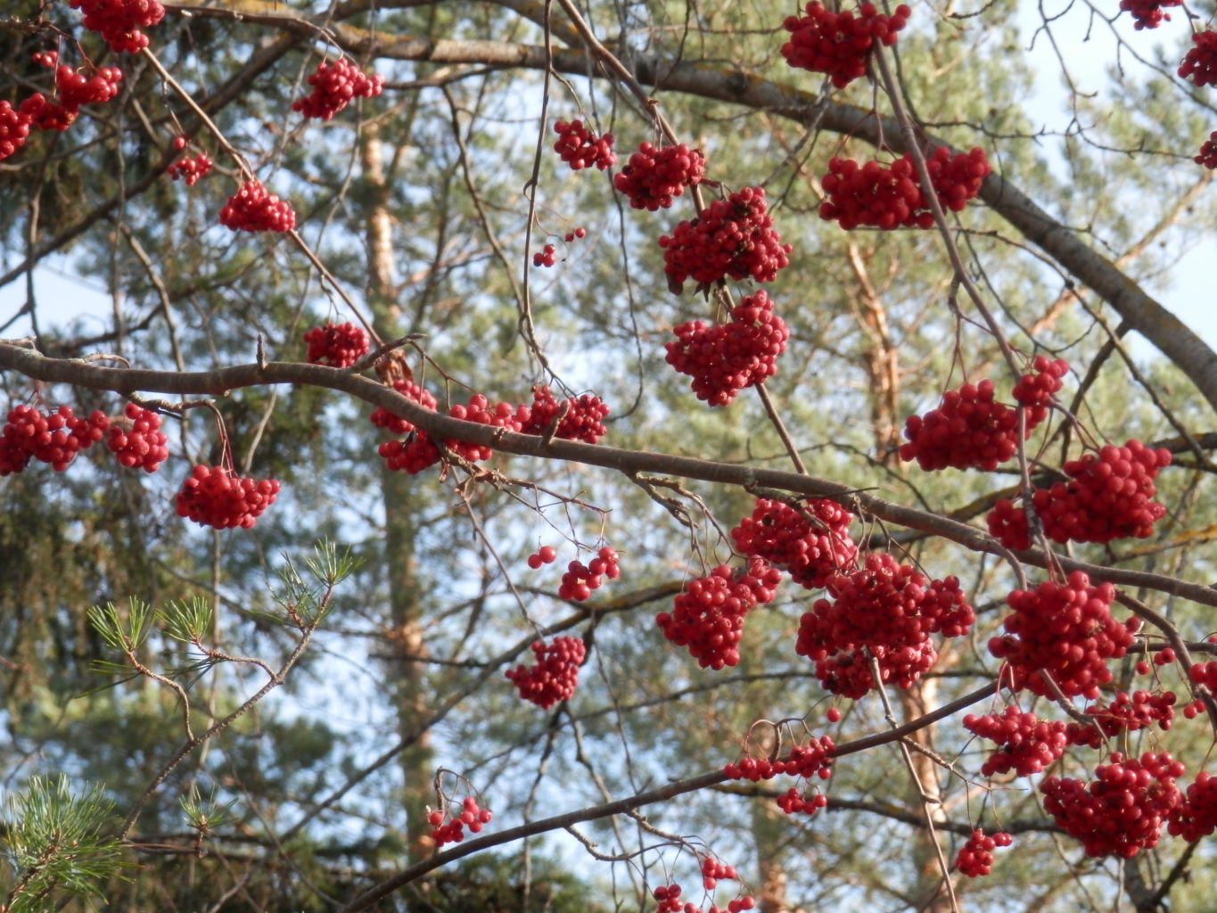 Valokuvaaja: Tarja Lehtovirta Valokuvaaja: Tarja Lehtovirta