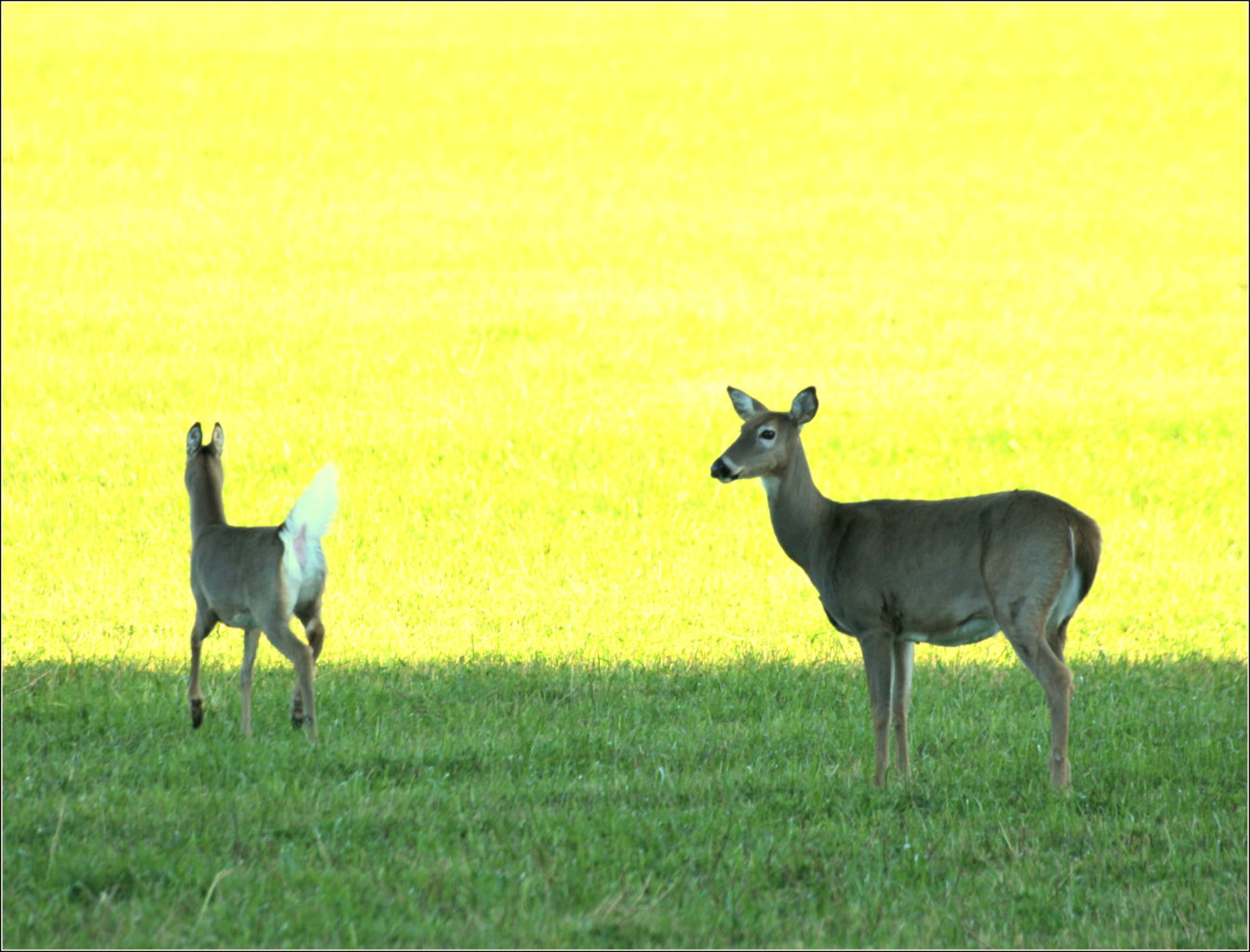 Valokuvaaja: Irja Lehtinen