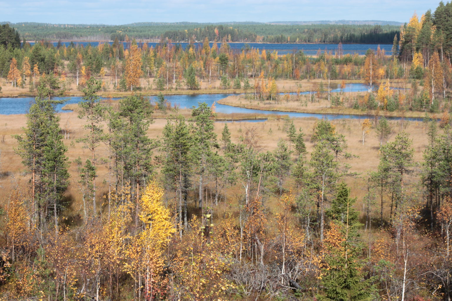 Valokuvaaja: Ahti Keränen Valokuvaaja: Ahti Keränen