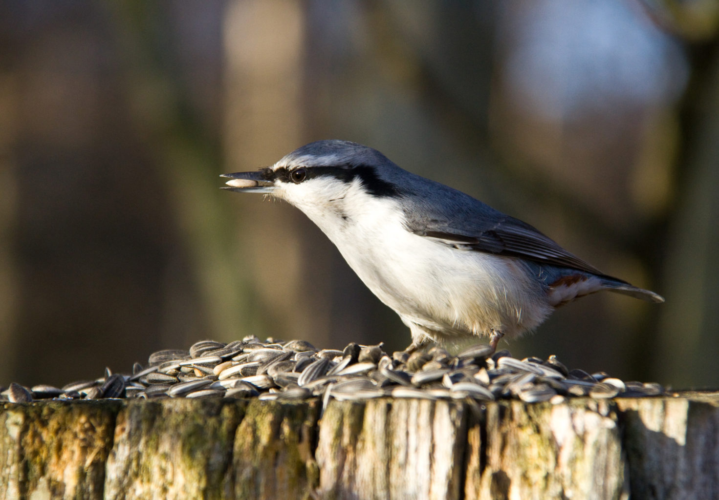 Valokuvaaja: Maarit Laakkonen
