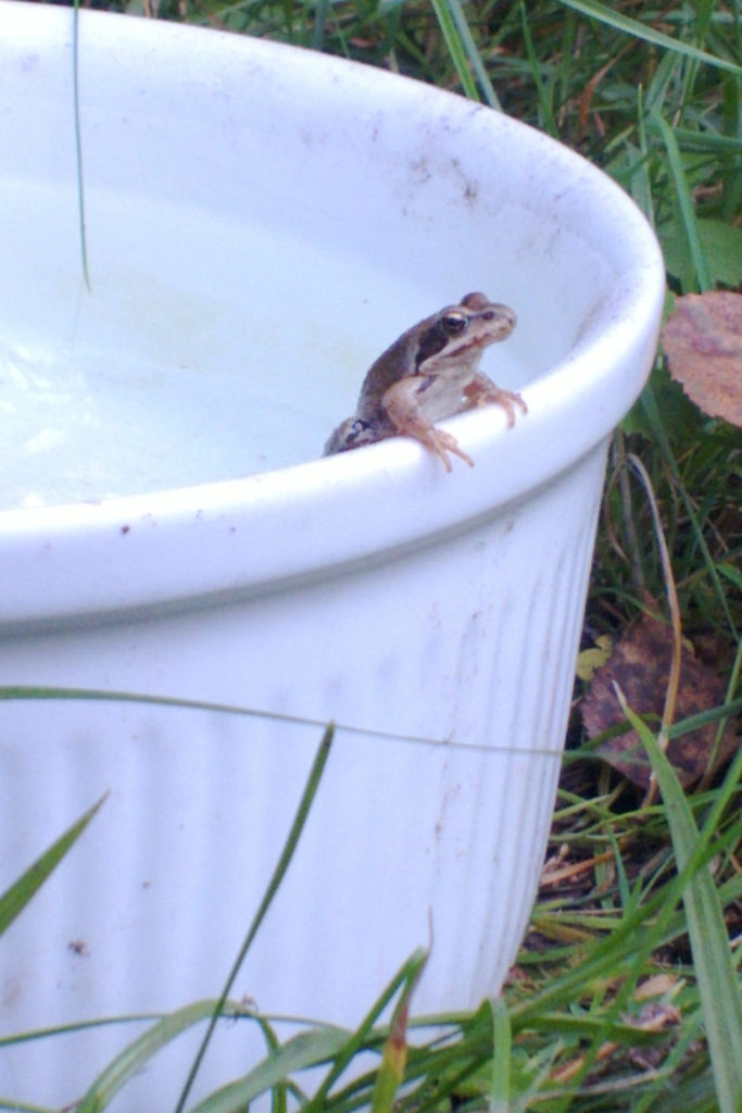 Valokuvaaja: Sari Lagstedt