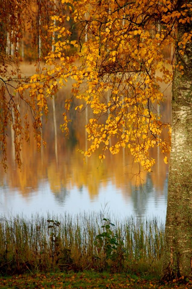Valokuvaaja: Eija Varjola