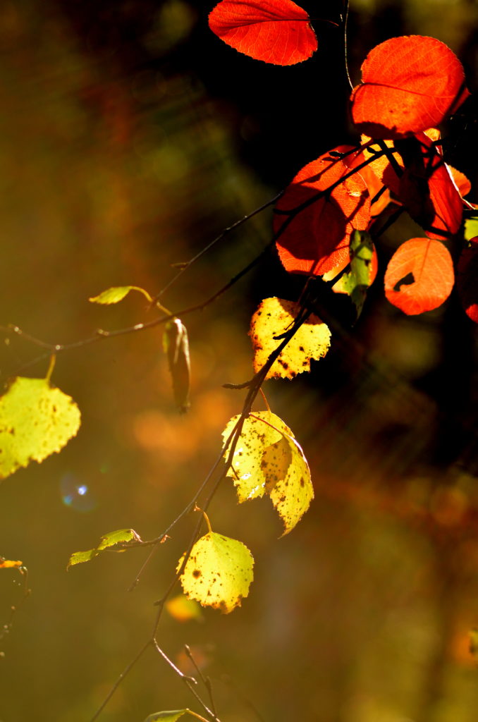 Valokuvaaja: Eija Varjola