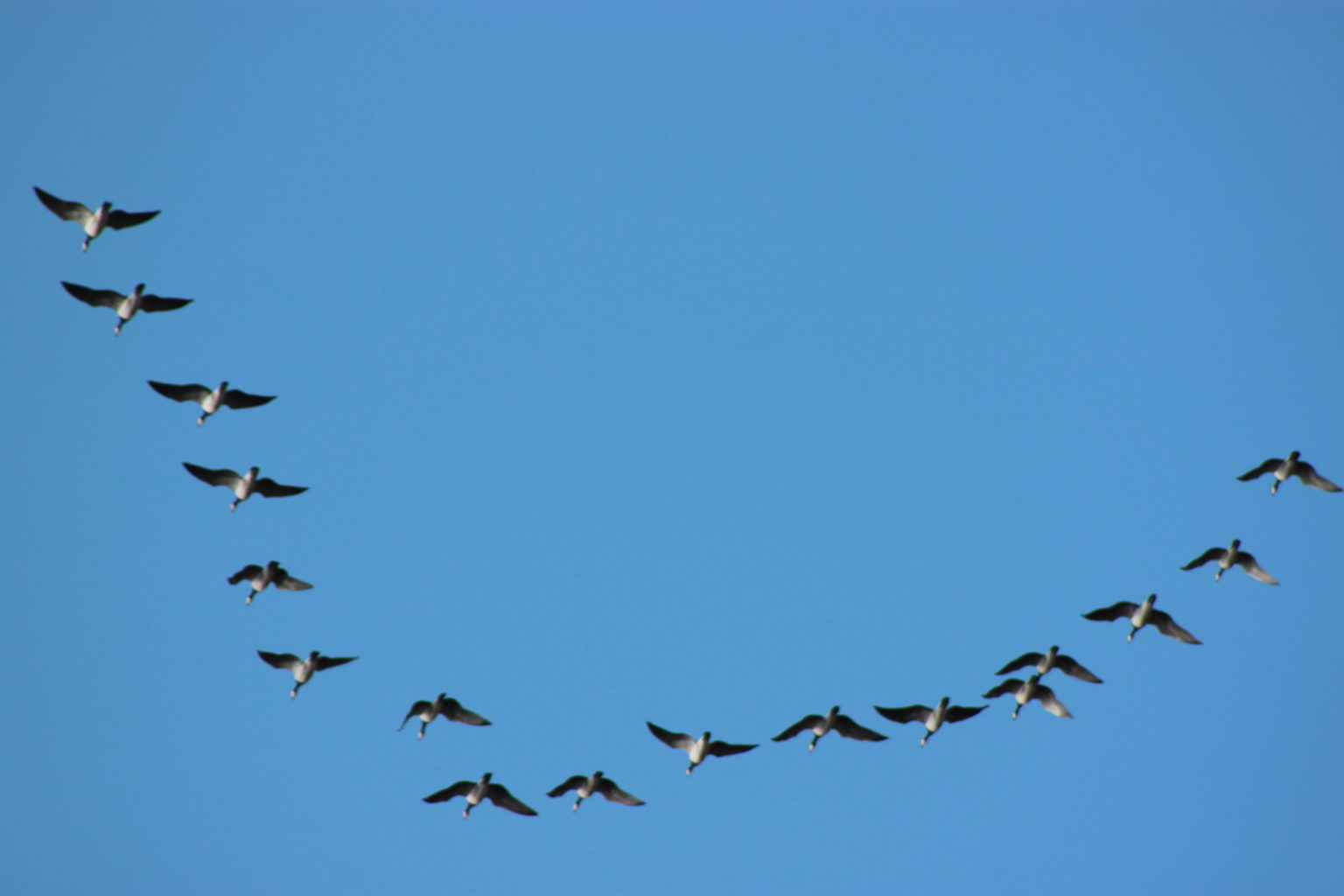 Valokuvaaja: Ahti Keränen