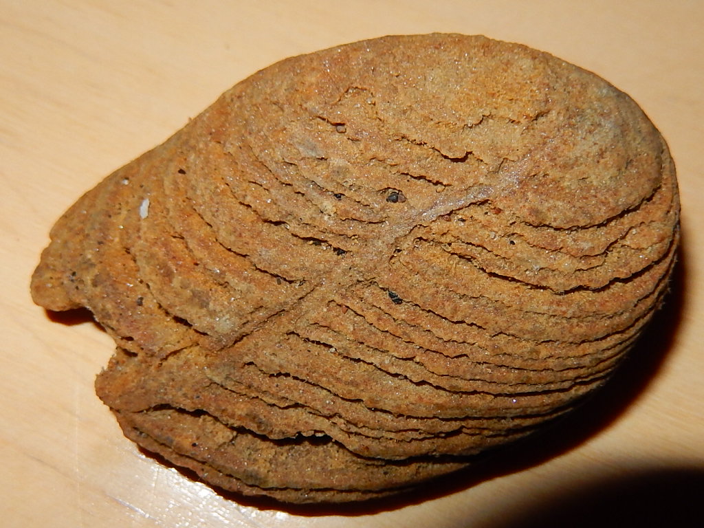 Valokuvaaja: Pirkko Siukonen