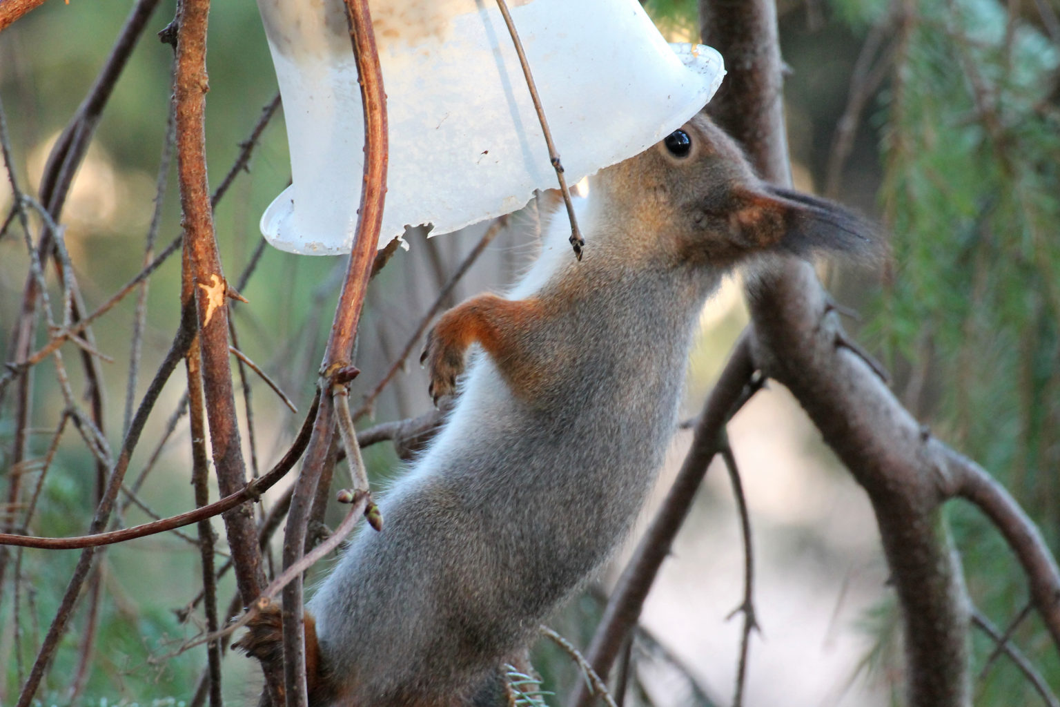 Valokuvaaja: Katri Mäkinen
