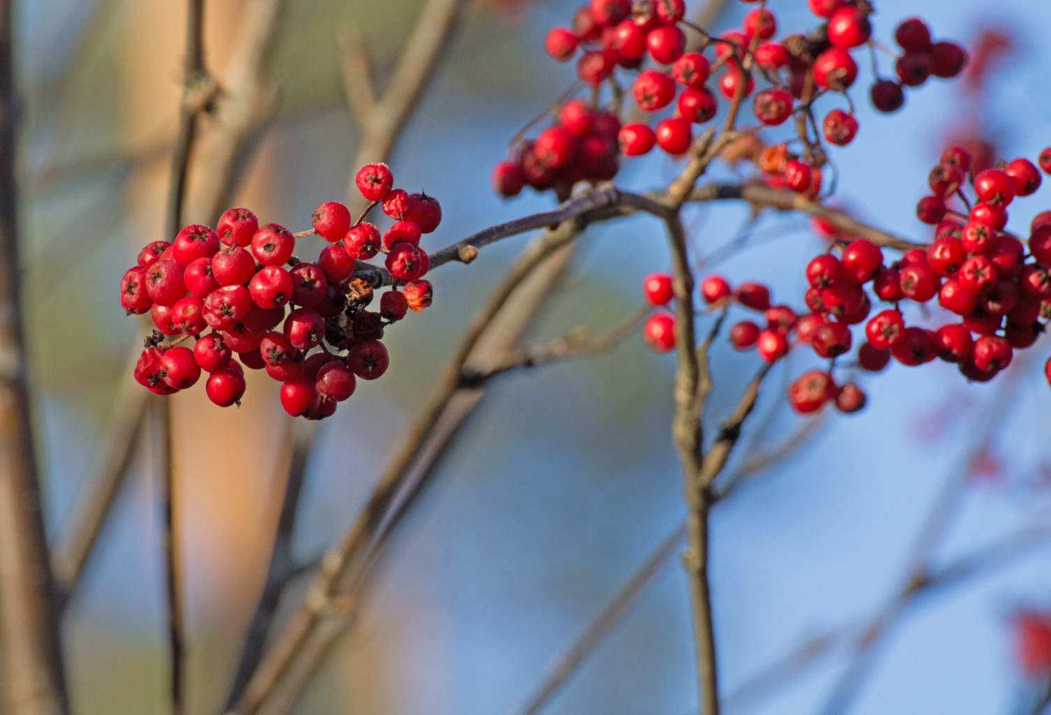 Valokuvaaja: Katri Mäkinen