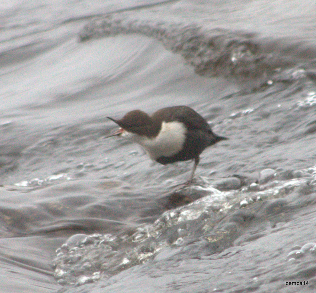 Valokuvaaja: tapio keinonen