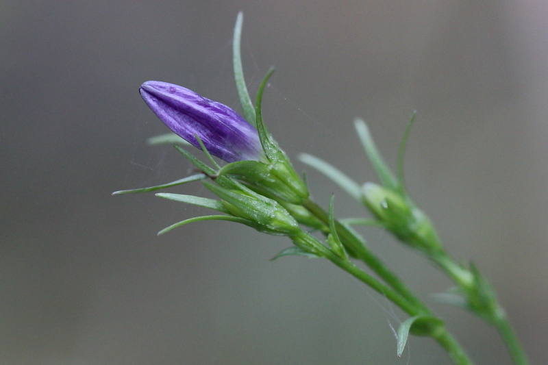 Valokuvaaja: Hanna Järvinen