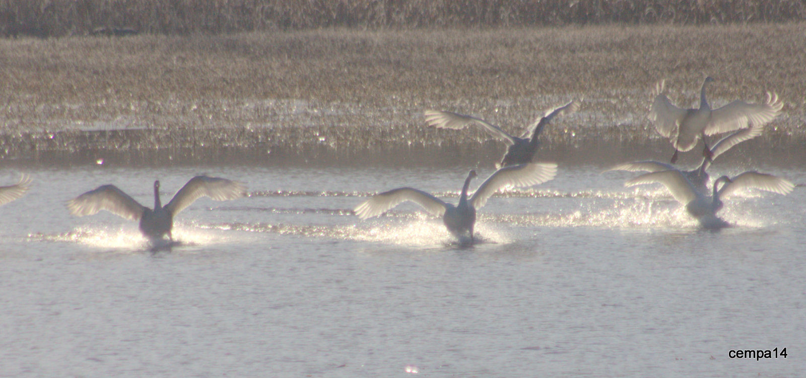 Valokuvaaja: tapio keinonen