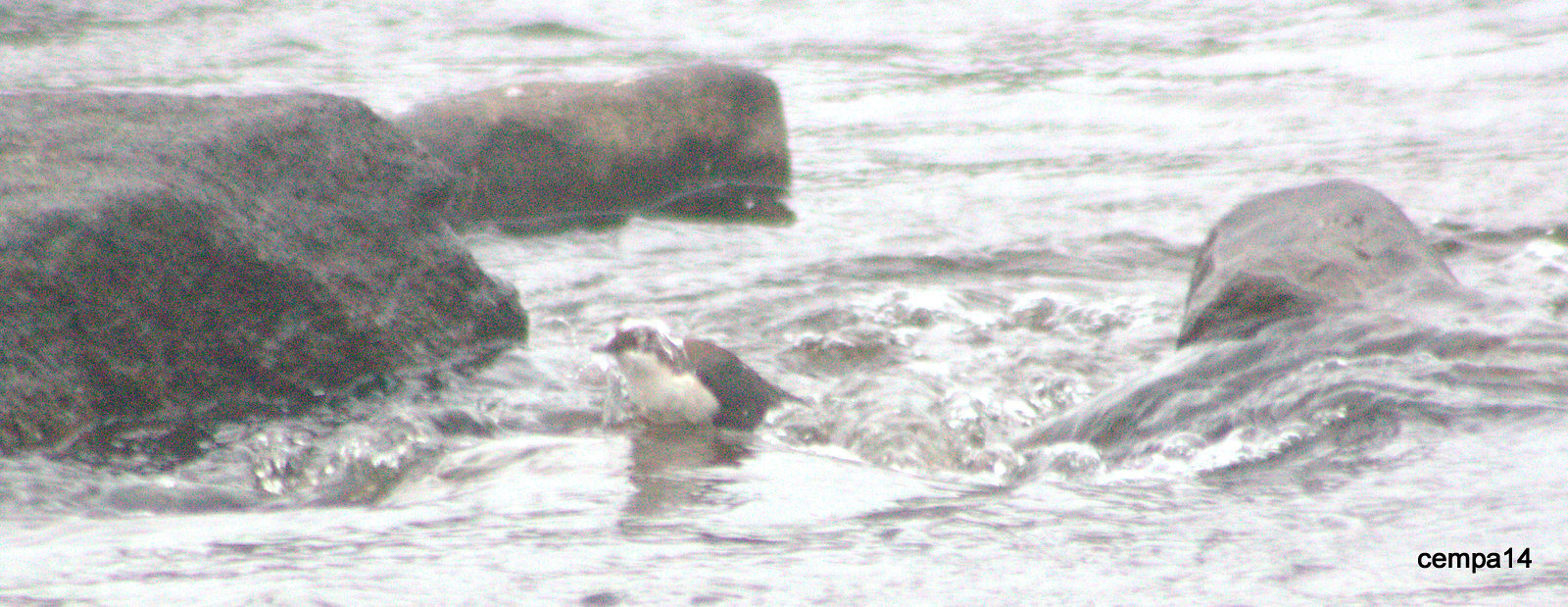 Valokuvaaja: tapio keinonen