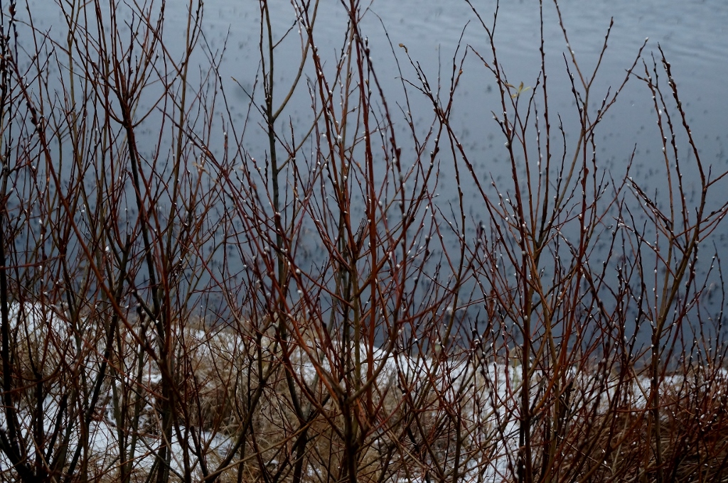 Valokuvaaja: Maarit Siitonen Valokuvaaja: Maarit Siitonen