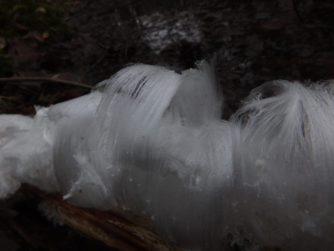 Valokuvaaja: Hannu Rasiranta