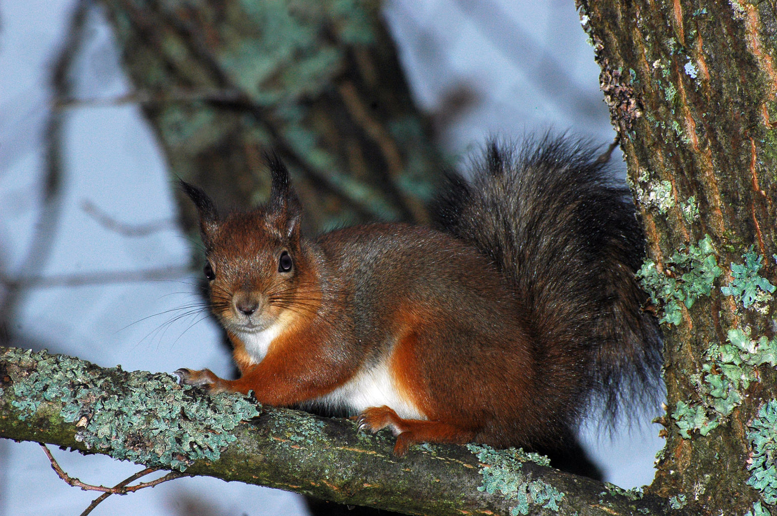 Valokuvaaja: Paavo Siukonen