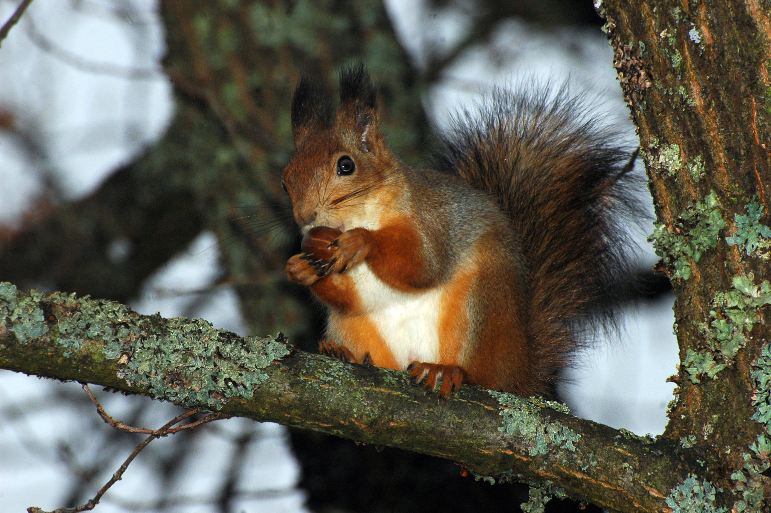 Valokuvaaja: Paavo Siukonen Valokuvaaja: Paavo Siukonen