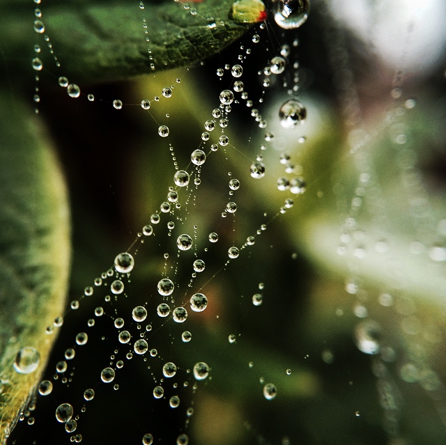 Valokuvaaja: Miika Vääränen