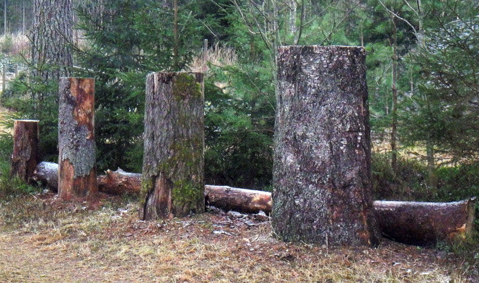 Valokuvaaja: Hannu Rasiranta