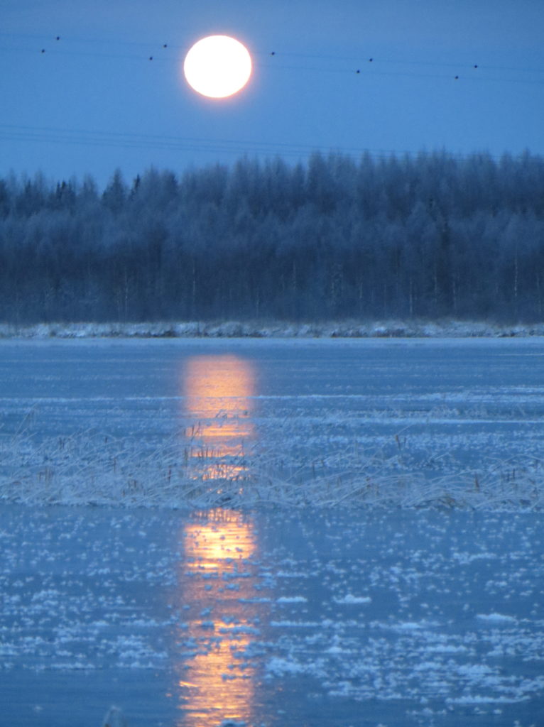 Valokuvaaja: Sirkka Ruotoistenmäki