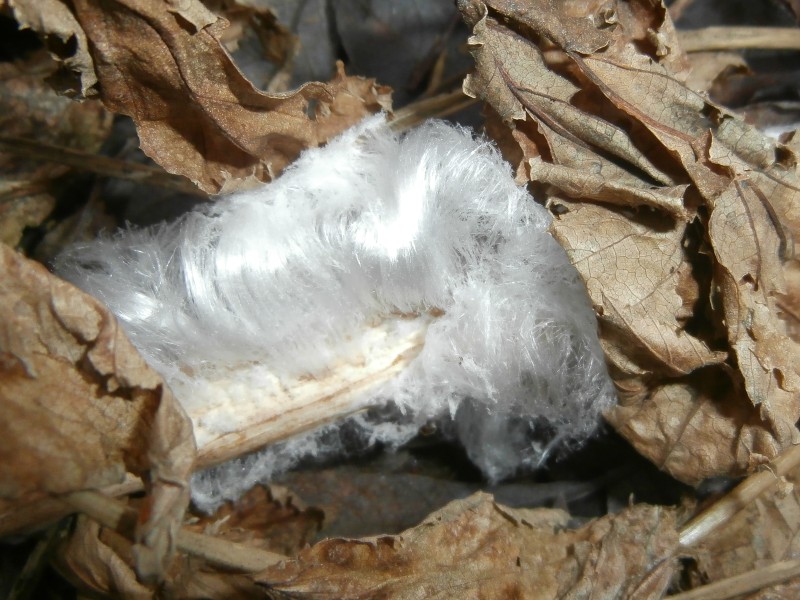 Valokuvaaja: Taina Kankare