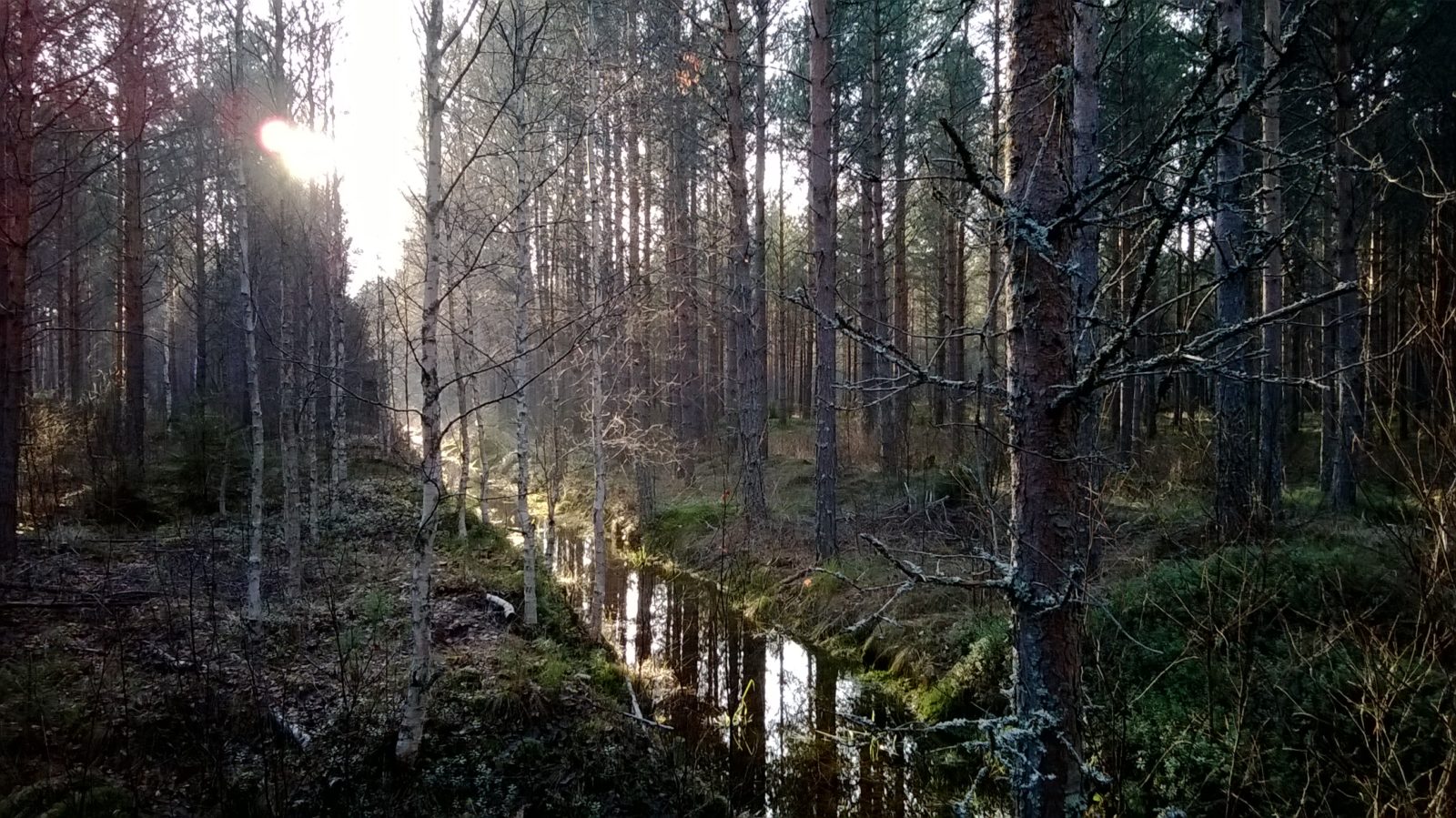 Valokuvaaja: Marja-Liisa Paavola