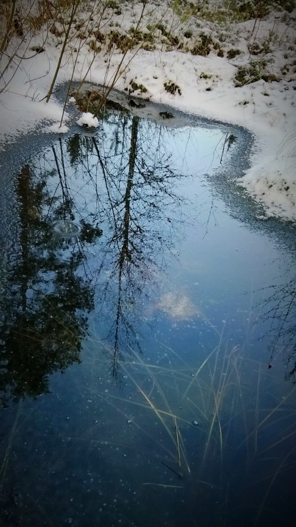 Valokuvaaja: Marja-Liisa Paavola