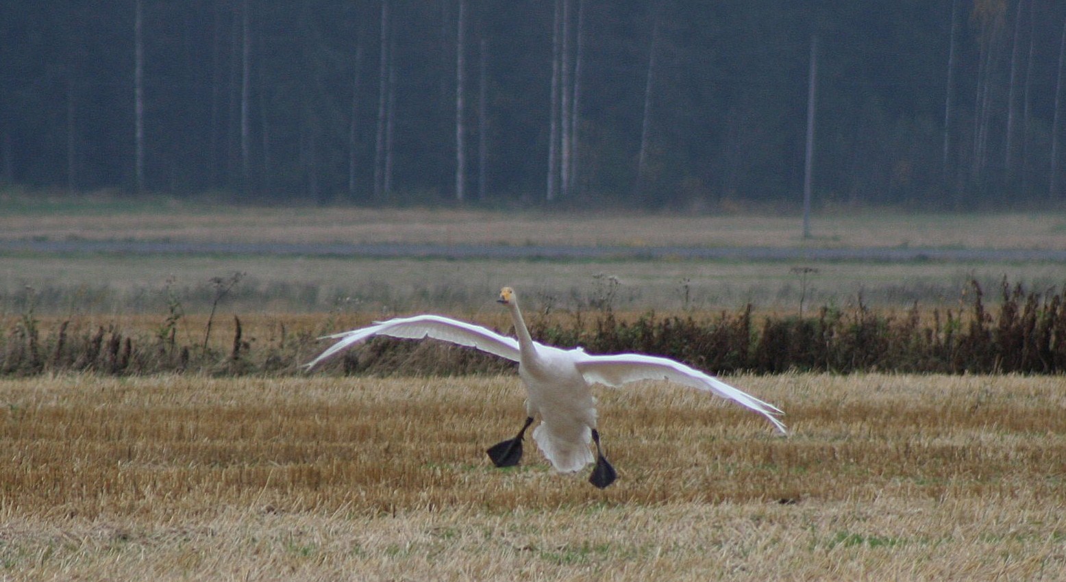 Valokuvaaja: Ahti Keränen
