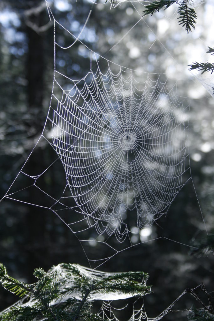 Valokuvaaja: Jarno Inkinen