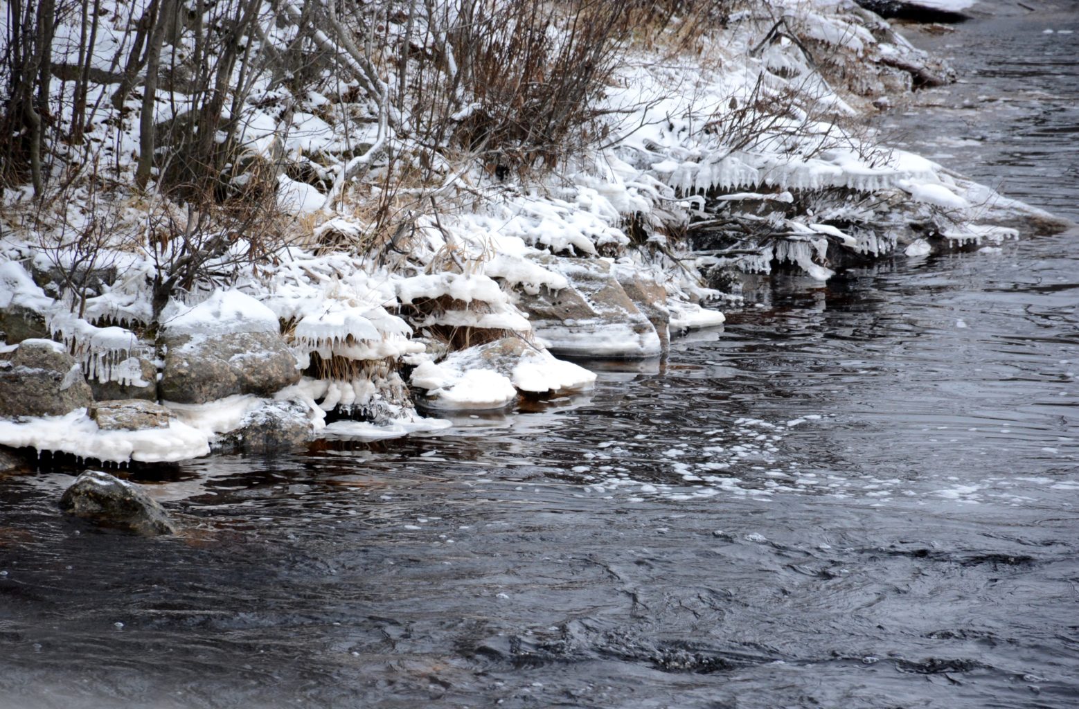 Valokuvaaja: Maija Savolainen
