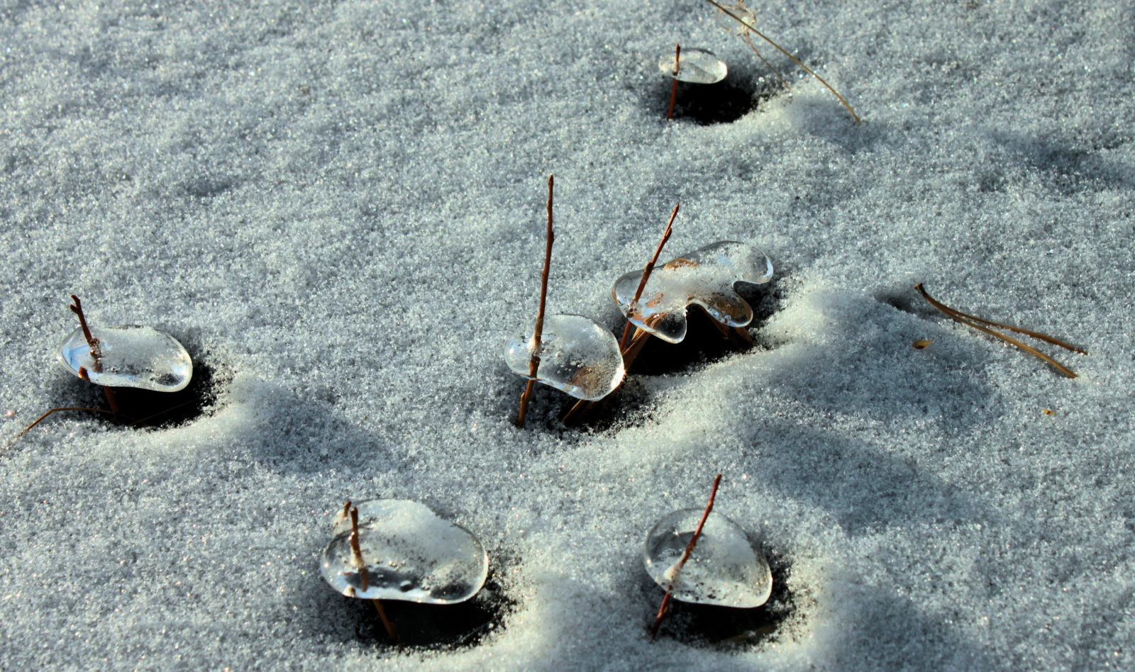 Valokuvaaja: Ahti Keränen