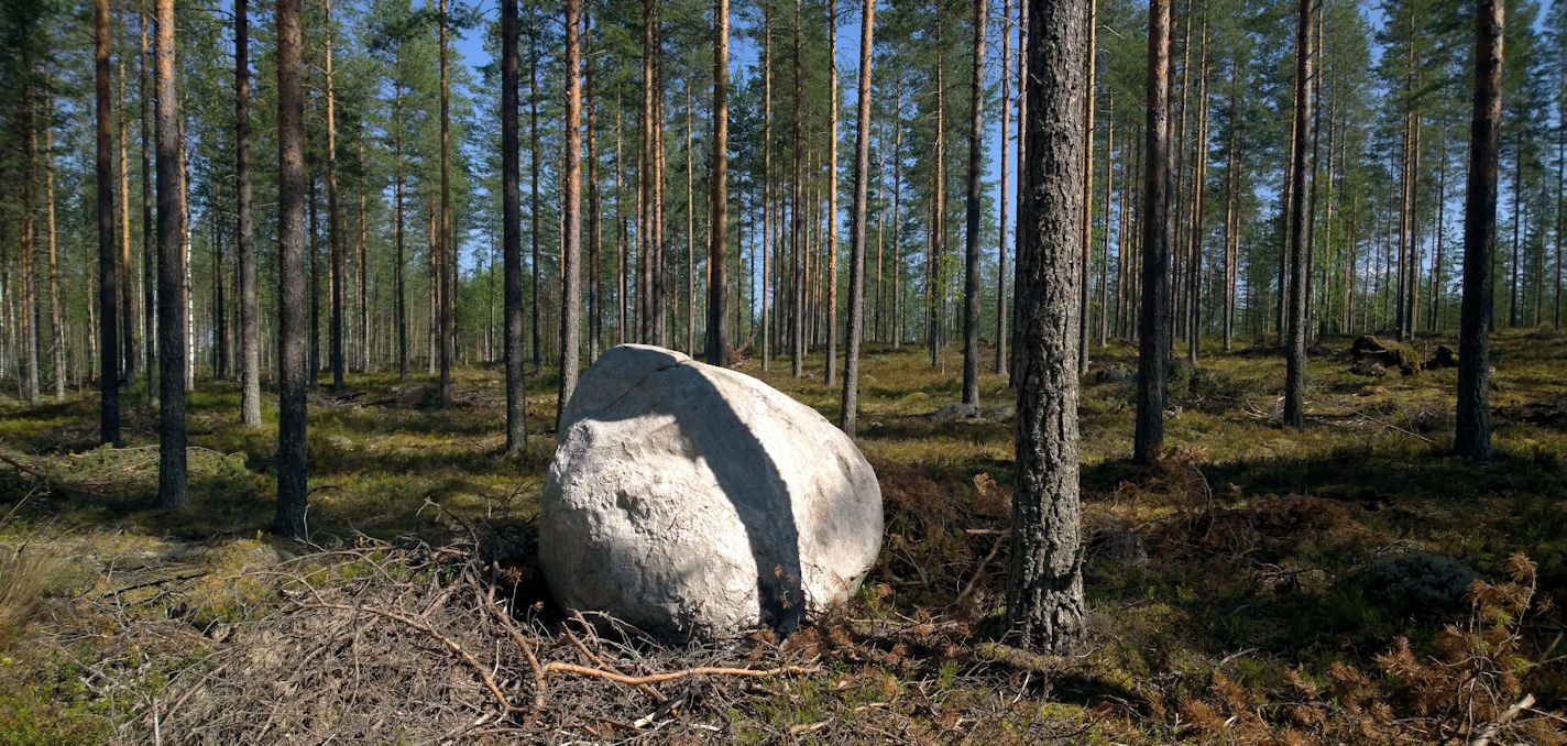 Valokuvaaja: Ahti Keränen