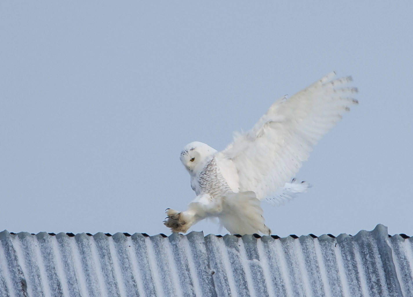 Valokuvaaja: Heikki Mahlamäki