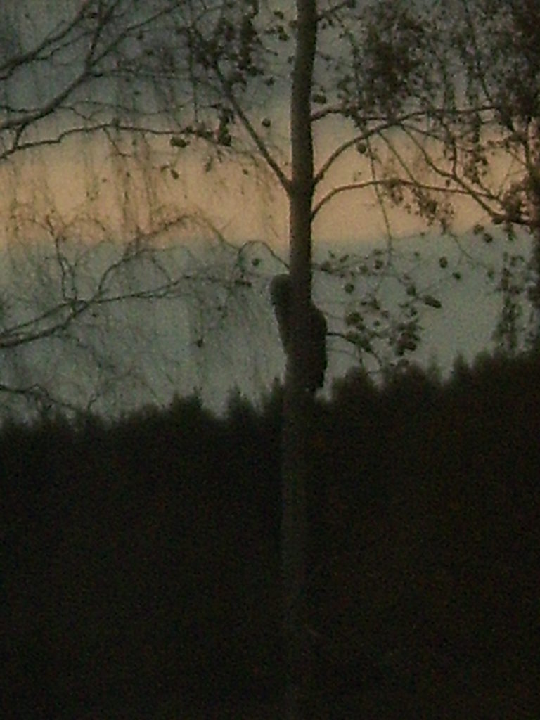 Valokuvaaja: Salme Randelin