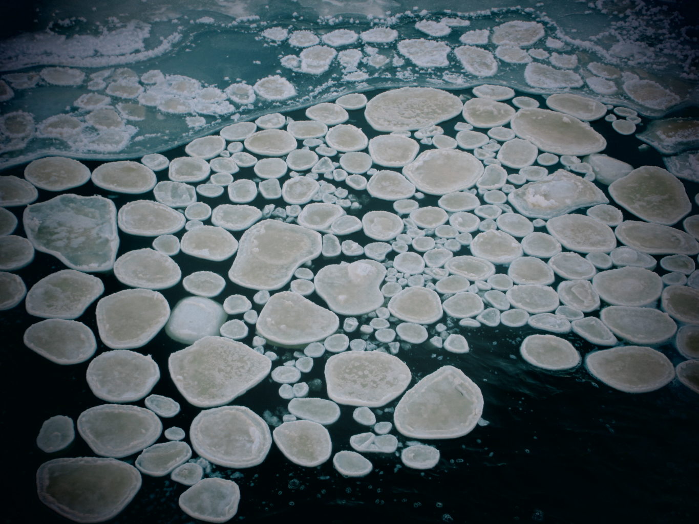 Valokuvaaja: Tiina Mäkinen