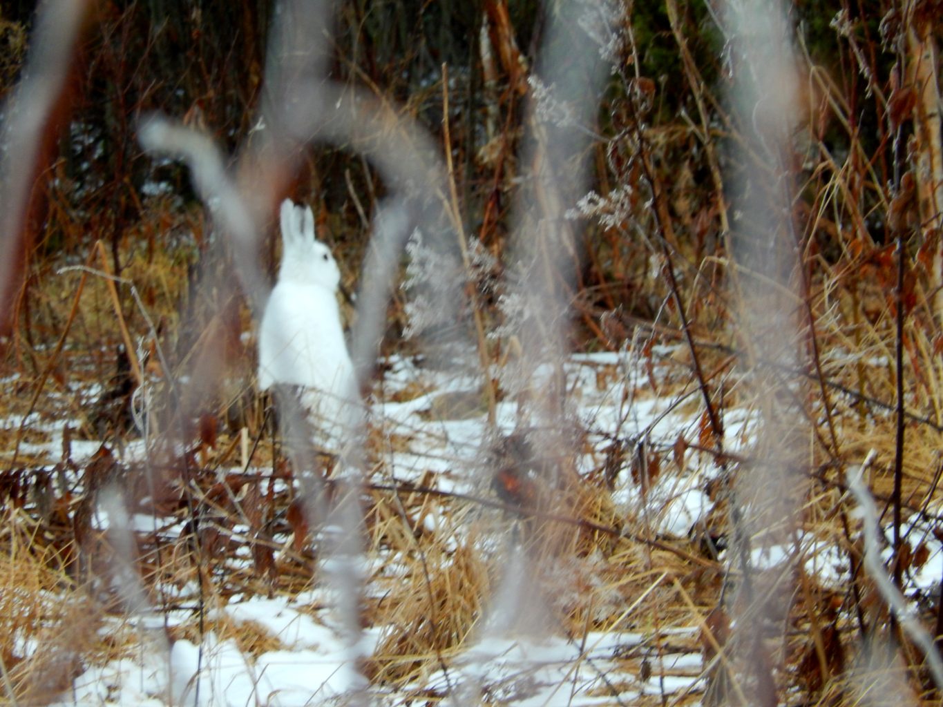 Valokuvaaja: Pirkko Siukonen