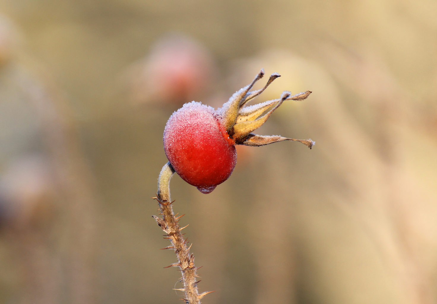 Valokuvaaja: Katri Mäkinen