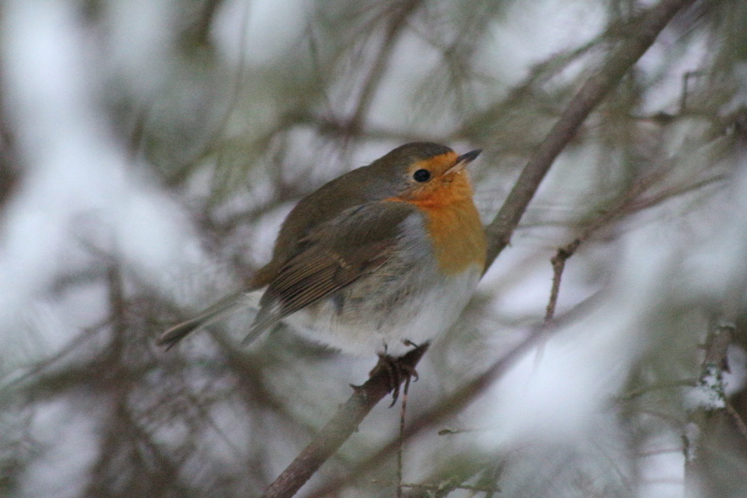 Valokuvaaja: Terhi Pöntinen
