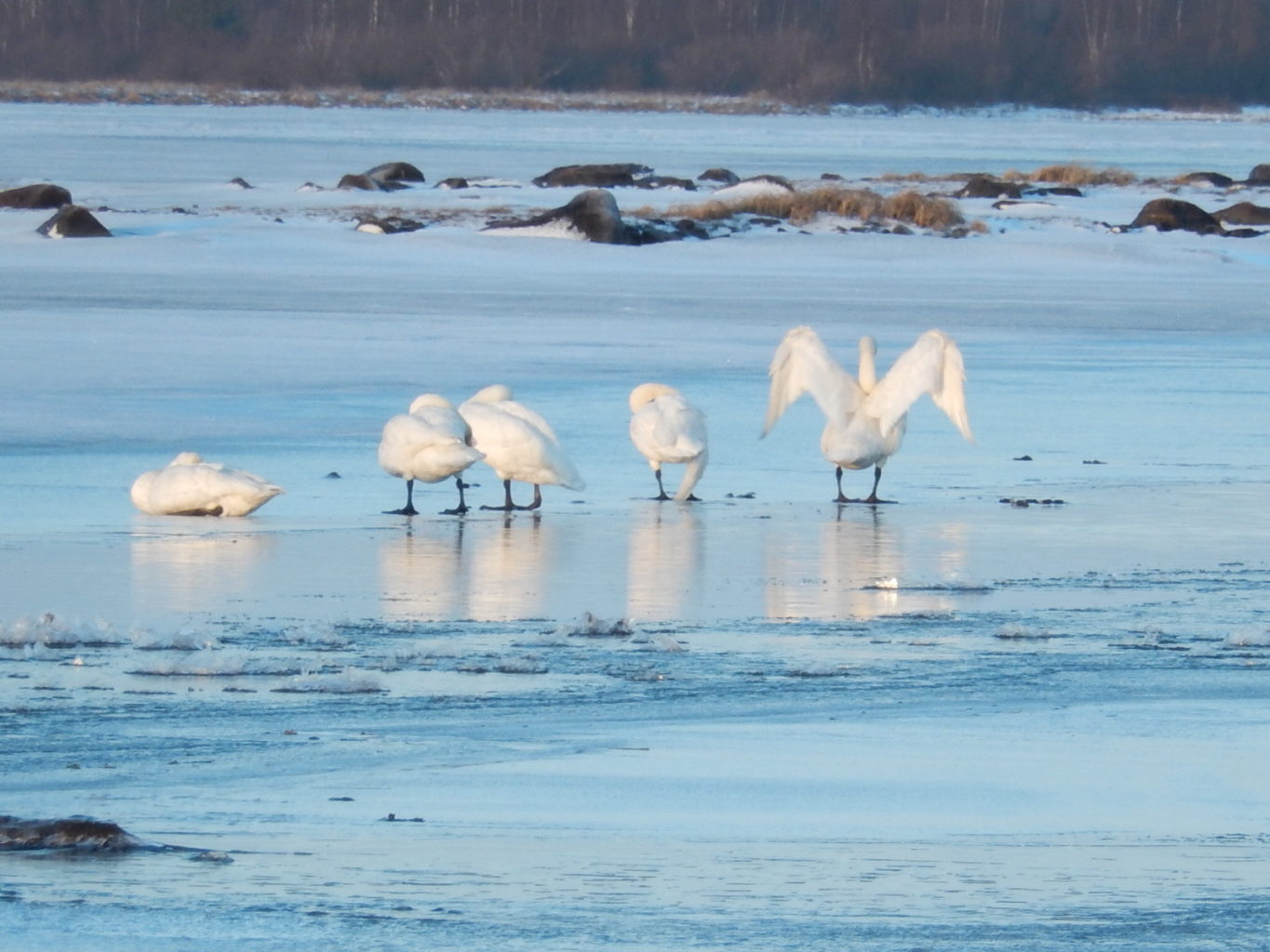 Valokuvaaja: Pirkko Siukonen
