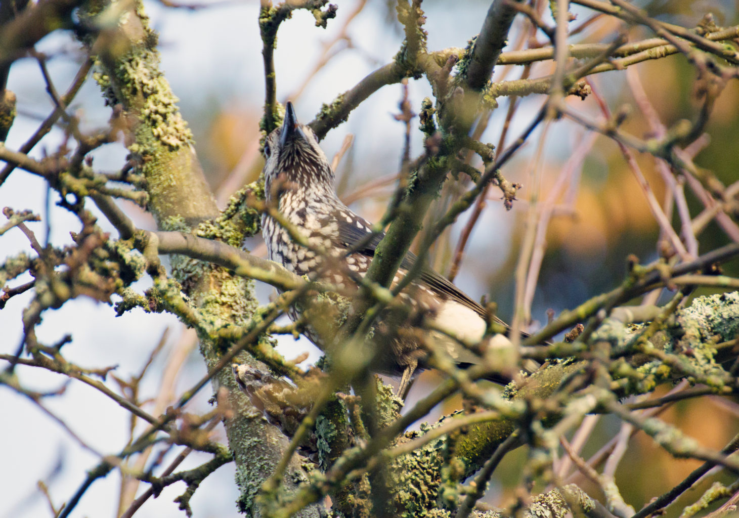 Valokuvaaja: Katri Mäkinen
