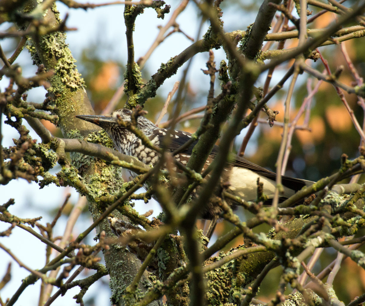 Valokuvaaja: Katri Mäkinen