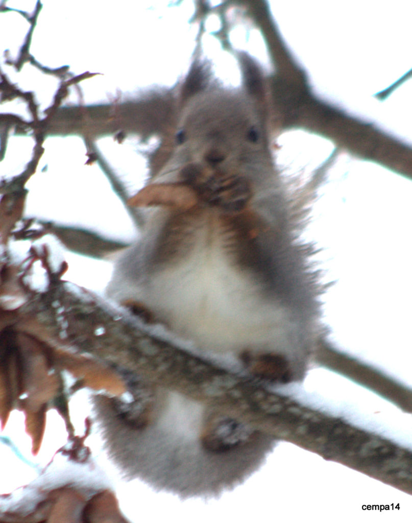Valokuvaaja: tapio keinonen